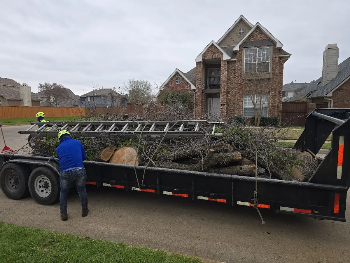 Expert Tree Fertilization with proper safety equipment in Swink